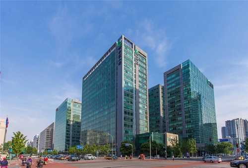 长春橘子树树苗价格